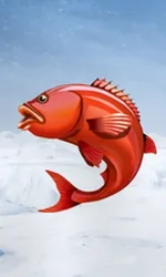 Ice Fishing